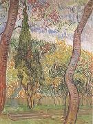 Vincent Van Gogh The Garden of Saint-Paul Hospital (nn04) oil